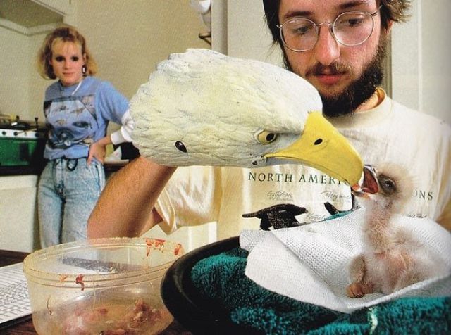 morning picdump 55 pics 25.html - 55 HD Photos | Premium Gallery 2015