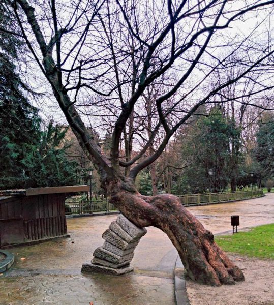 morning picdump 52 pics 47.html - 52 HD Photos | Premium Gallery 2015