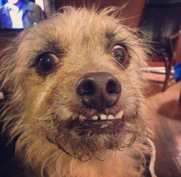 morning picdump 52 pics 47.html - 52 HD Photos | Premium Gallery 2015