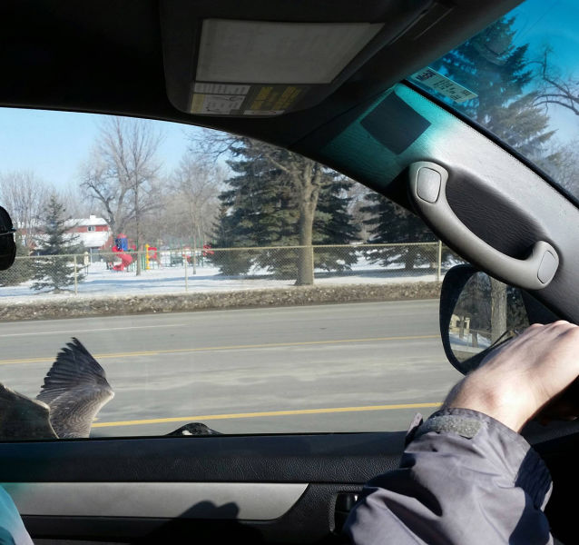 morning picdump 52 pics 47.html - 52 HD Photos | Premium Gallery 2015