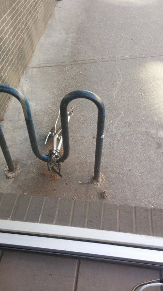 morning picdump 54 pics 22.html - 54 HD Photos | Premium Gallery 2015