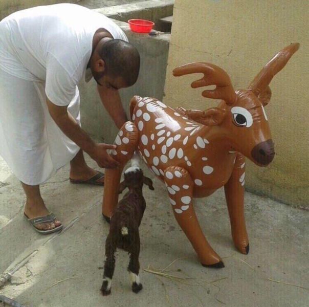 morning picdump 54 pics 22.html - 54 HD Photos | Premium Gallery 2015