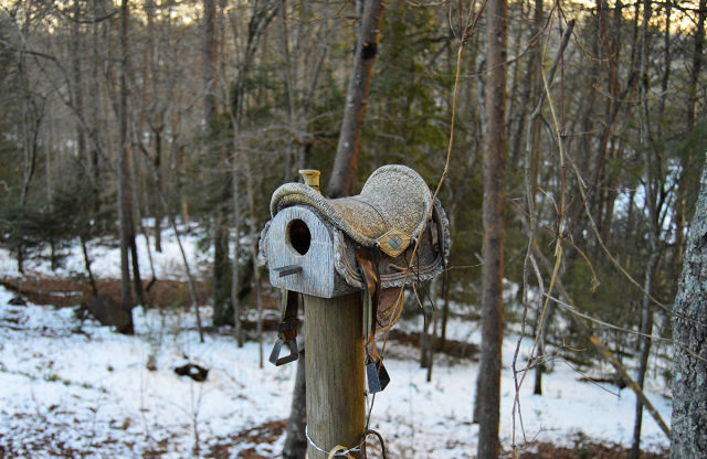 daily picdump 87 pics 82.html - 87 HD Photos | Premium Gallery 2015