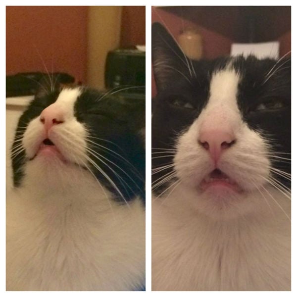 daily picdump 87 pics 82.html - 87 HD Photos | Premium Gallery 2015