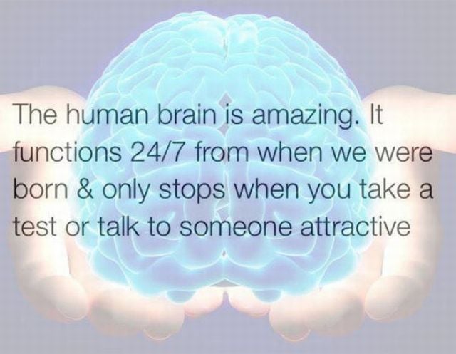 page,4,top 450 funny pics of the year 2015.html - 1 HD Photos | Premium Gallery 2015