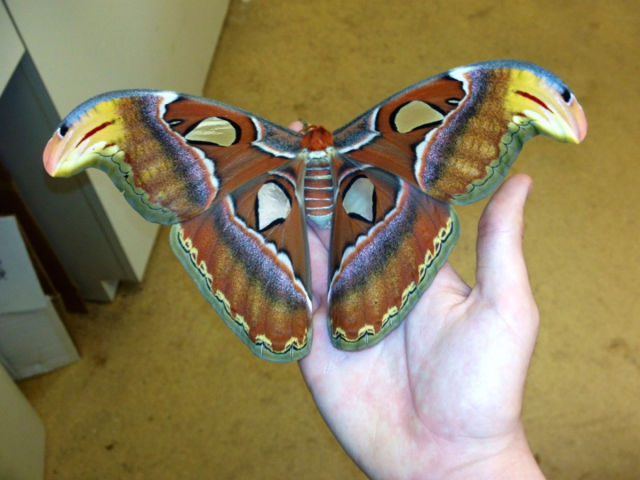 morning picdump 57 pics 38.html - 57 HD Photos | Premium Gallery 2015