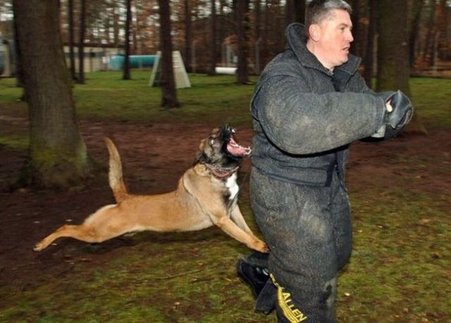 morning picdump 57 pics 38.html - 57 HD Photos | Premium Gallery 2015