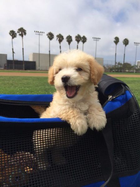 morning picdump 57 pics 38.html - 57 HD Photos | Premium Gallery 2015