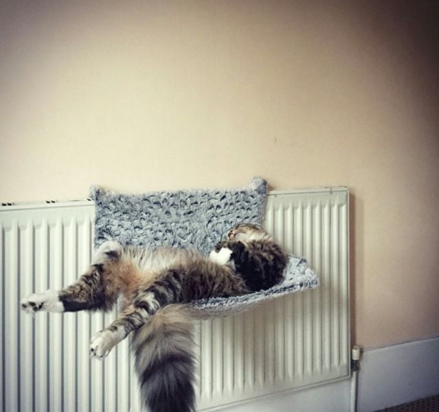 daily picdump weekend edition 92 pics 41.html - 92 HD Photos | Premium Gallery 2015