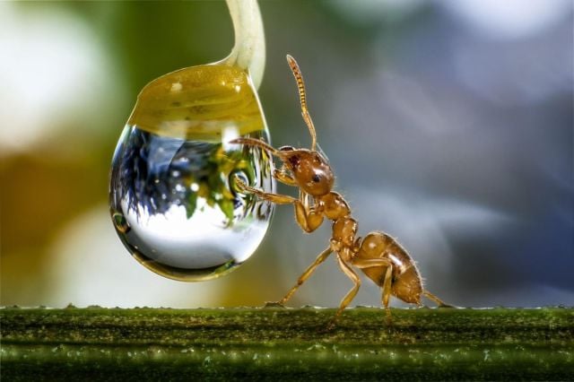 daily picdump weekend edition 92 pics 41.html - 92 HD Photos | Premium Gallery 2015