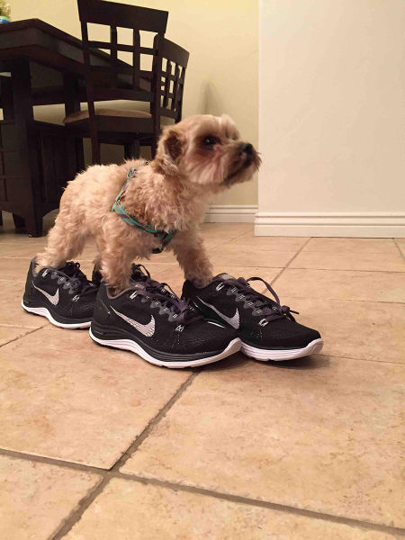 morning picdump 55 pics 23.html - 55 HD Photos | Premium Gallery 2015