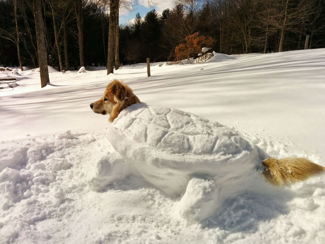 morning picdump 55 pics 23.html - 55 HD Photos | Premium Gallery 2015