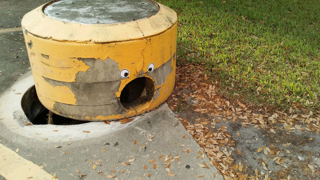Morning Picdump