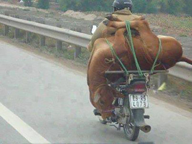 morning picdump 52 pics 26.html - 52 HD Photos | Premium Gallery 2015