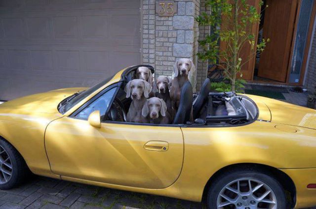 morning picdump 52 pics 26.html - 52 HD Photos | Premium Gallery 2015