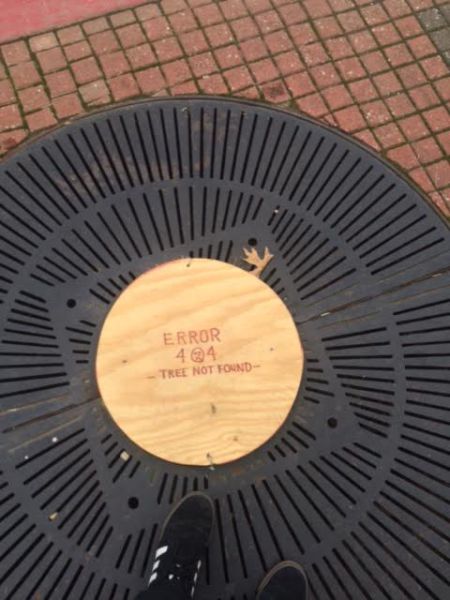 morning picdump 54 pics 17.html - 54 HD Photos | Premium Gallery 2015