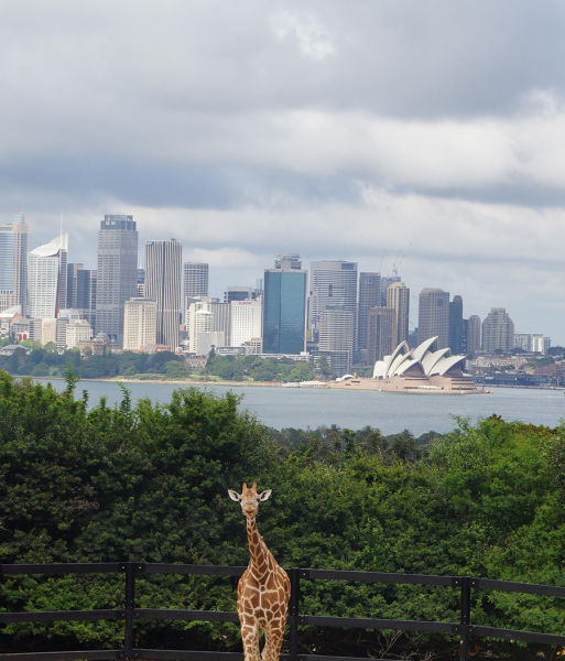 morning picdump 54 pics 17.html - 54 HD Photos | Premium Gallery 2015