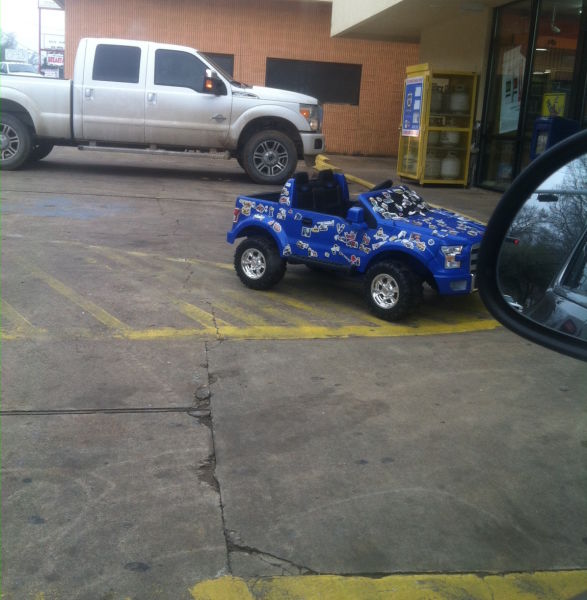 Morning Picdump