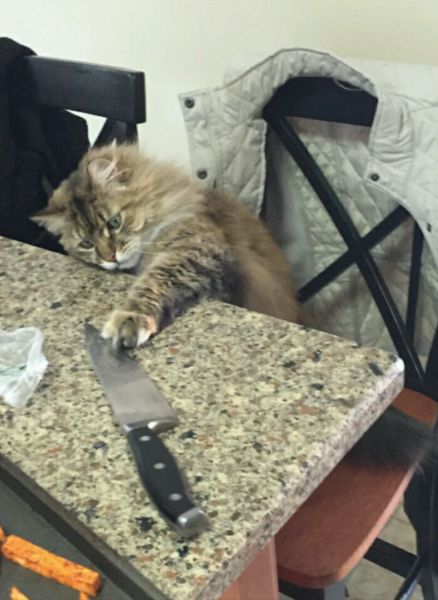 morning picdump 53 pics 21.html - 53 HD Photos | Premium Gallery 2015