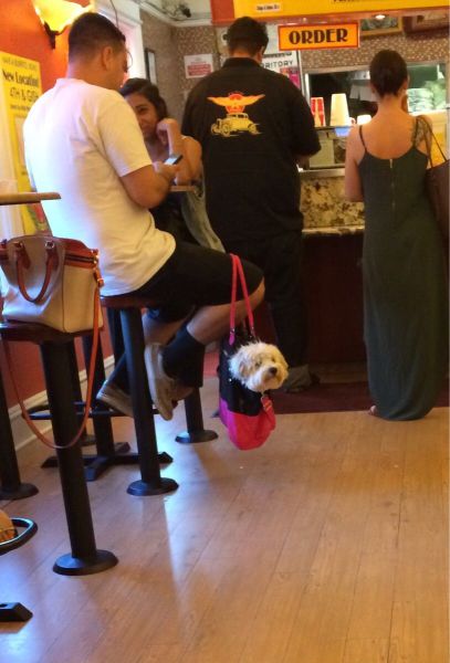Daily Picdump