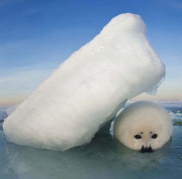 Daily Picdump