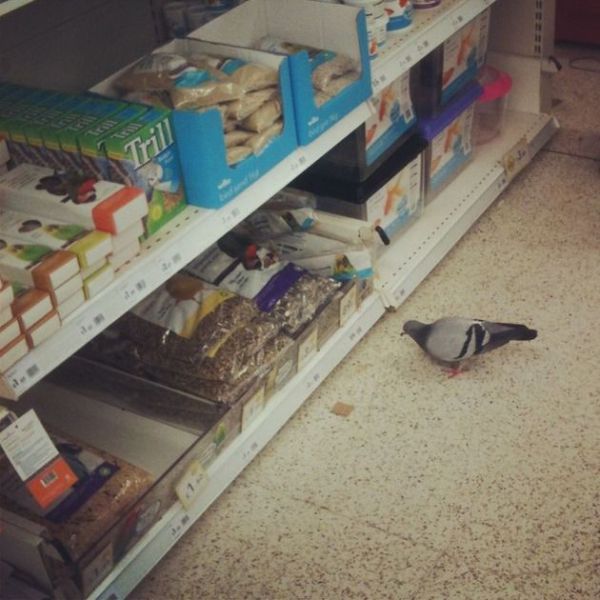 Daily Picdump