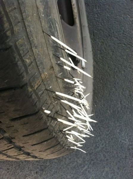 daily picdump 106 pics 36.html - 106 HD Photos | Premium Gallery 2015