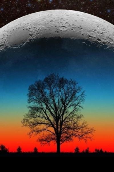 daily picdump 106 pics 36.html - 106 HD Photos | Premium Gallery 2015