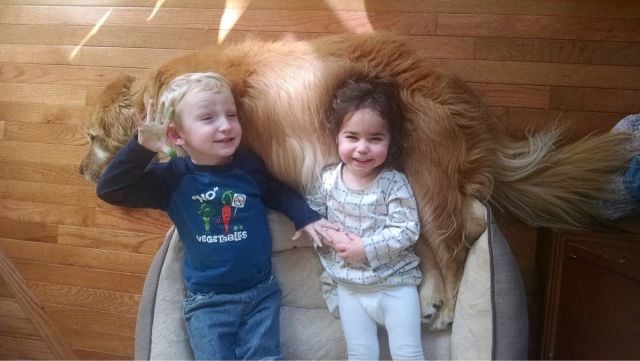 daily picdump 106 pics 36.html - 106 HD Photos | Premium Gallery 2015