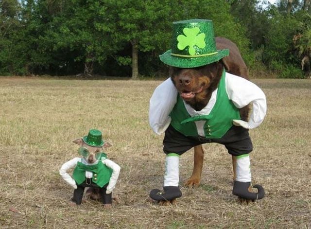 daily picdump 106 pics 36.html - 106 HD Photos | Premium Gallery 2015