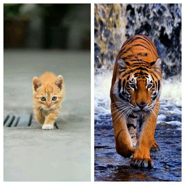 morning picdump 55 pics 17.html - 55 HD Photos | Premium Gallery 2015