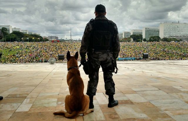 morning picdump 55 pics 17.html - 55 HD Photos | Premium Gallery 2015