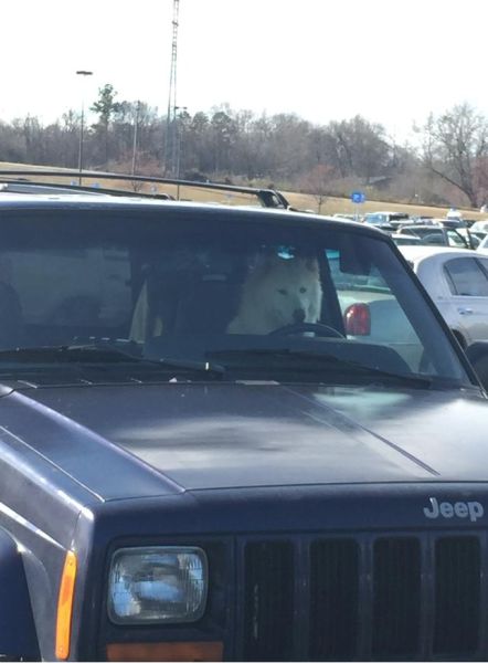 morning picdump 55 pics 17.html - 55 HD Photos | Premium Gallery 2015