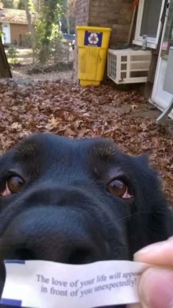 daily picdump 97 pics 1.html - 97 HD Photos | Premium Gallery 2015
