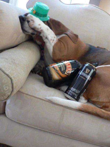 daily picdump 97 pics 1.html - 97 HD Photos | Premium Gallery 2015