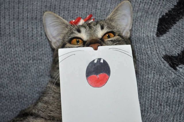 daily picdump 97 pics 1.html - 97 HD Photos | Premium Gallery 2015