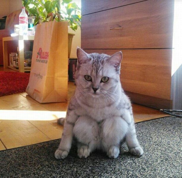 daily picdump 97 pics 1.html - 97 HD Photos | Premium Gallery 2015