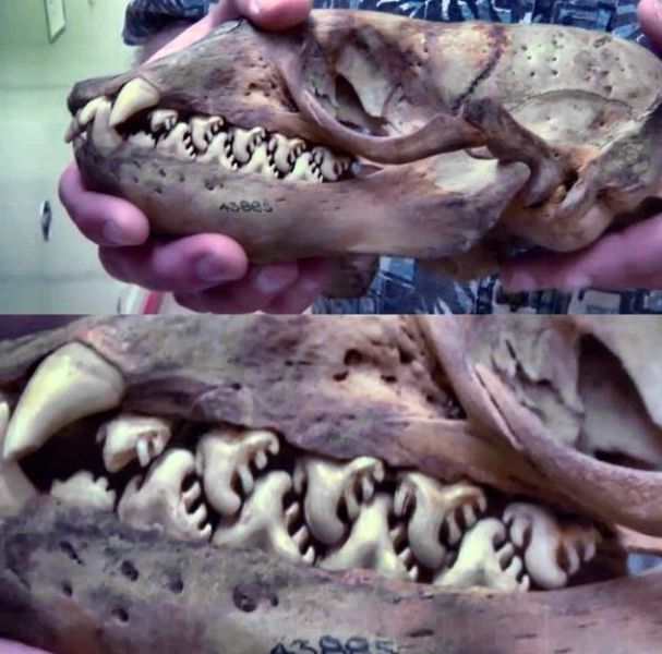 morning picdump 57 pics 26.html - 57 HD Photos | Premium Gallery 2015