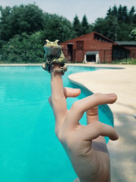 morning picdump 57 pics 26.html - 57 HD Photos | Premium Gallery 2015