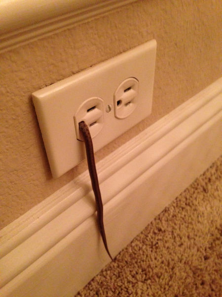 morning picdump 57 pics 26.html - 57 HD Photos | Premium Gallery 2015