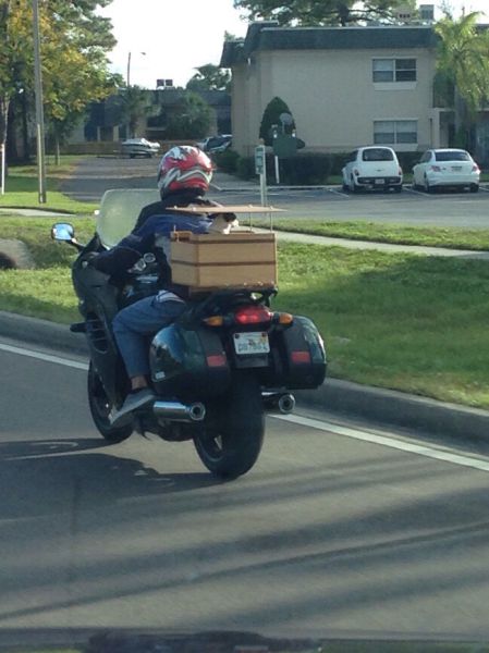 morning picdump 57 pics 26.html - 57 HD Photos | Premium Gallery 2015