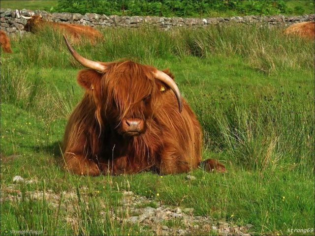 page,47,top 1500 daily pics of the year 2015.html - 1 HD Photos | Premium Gallery 2015