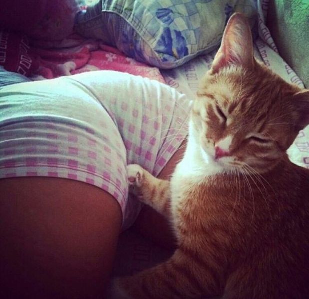 morning picdump 52 pics 12.html - 52 HD Photos | Premium Gallery 2015