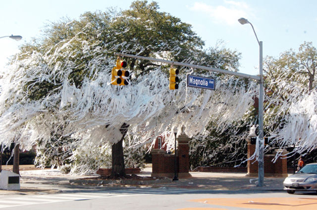 morning picdump 52 pics 12.html - 52 HD Photos | Premium Gallery 2015