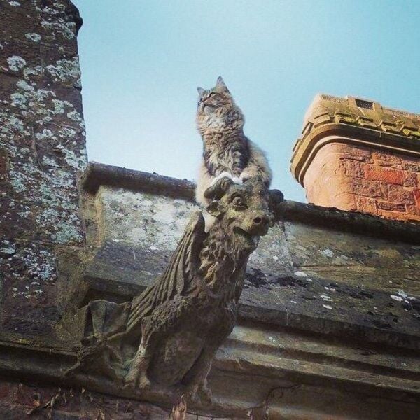 page,47,top 1500 daily pics of the year 2015.html - 1 HD Photos | Premium Gallery 2015