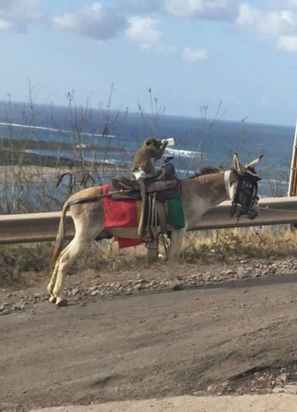 daily picdump 93 pics 10.html - 93 HD Photos | Premium Gallery 2015