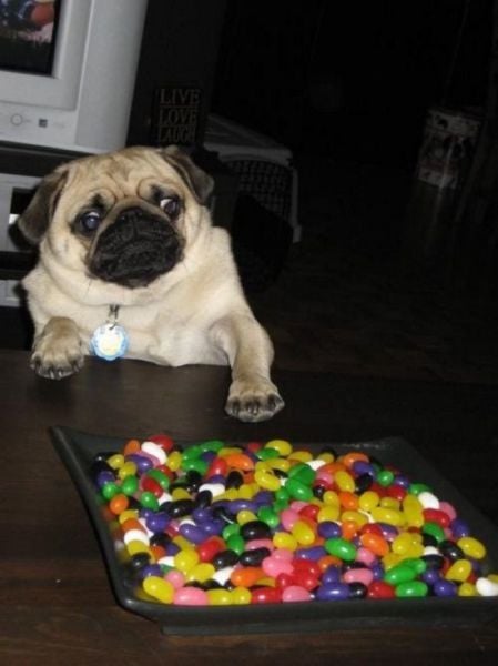 daily picdump 93 pics 10.html - 93 HD Photos | Premium Gallery 2015