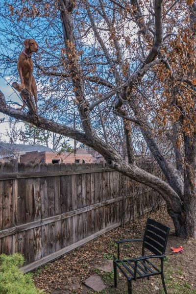 daily picdump 93 pics 10.html - 93 HD Photos | Premium Gallery 2015