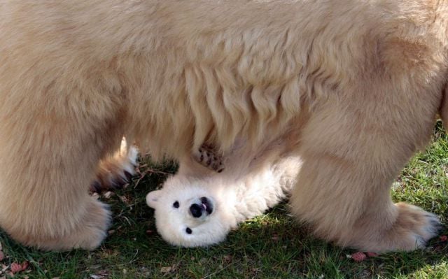 daily picdump 93 pics 10.html - 93 HD Photos | Premium Gallery 2015