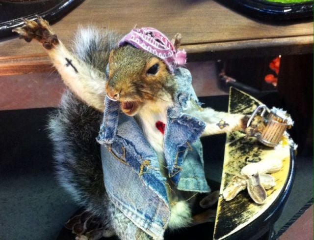 daily picdump 93 pics 10.html - 93 HD Photos | Premium Gallery 2015